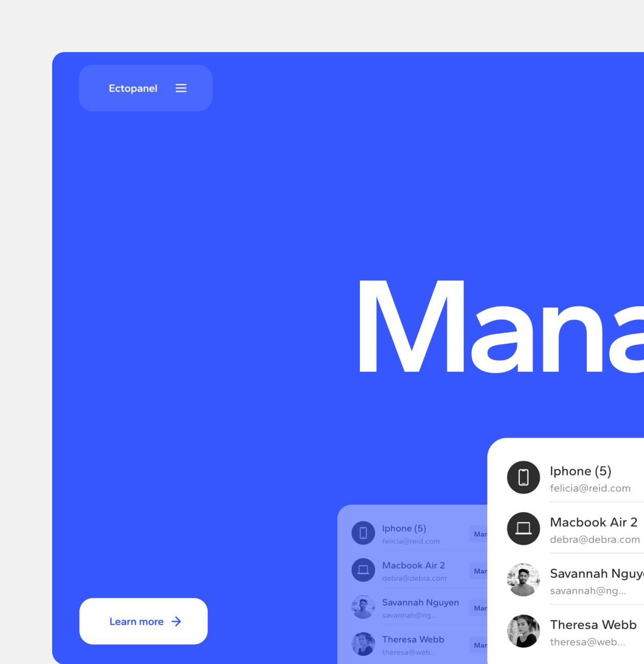 Ectopanel – Promo website for mobile app - Website Development - Photo 5