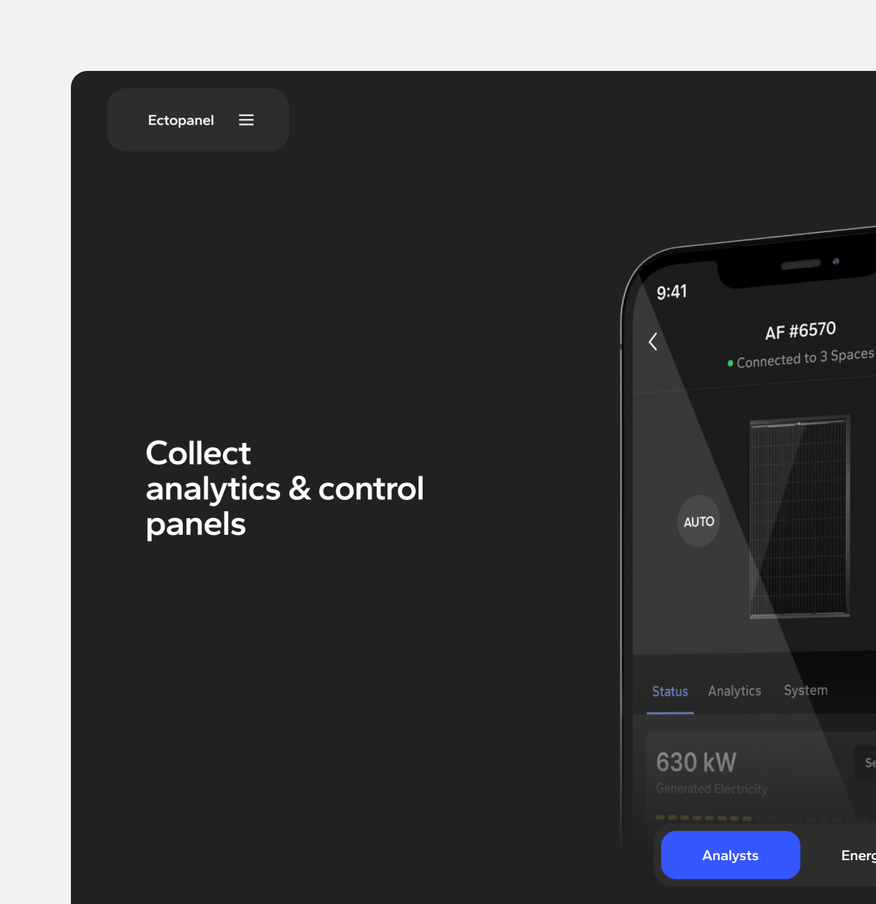 Ectopanel – Promo website for mobile app - Website Development - Photo 10